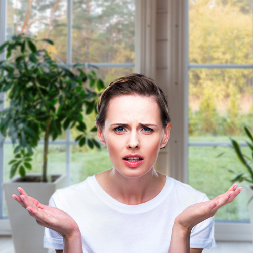 how to use your beasy transfer boards